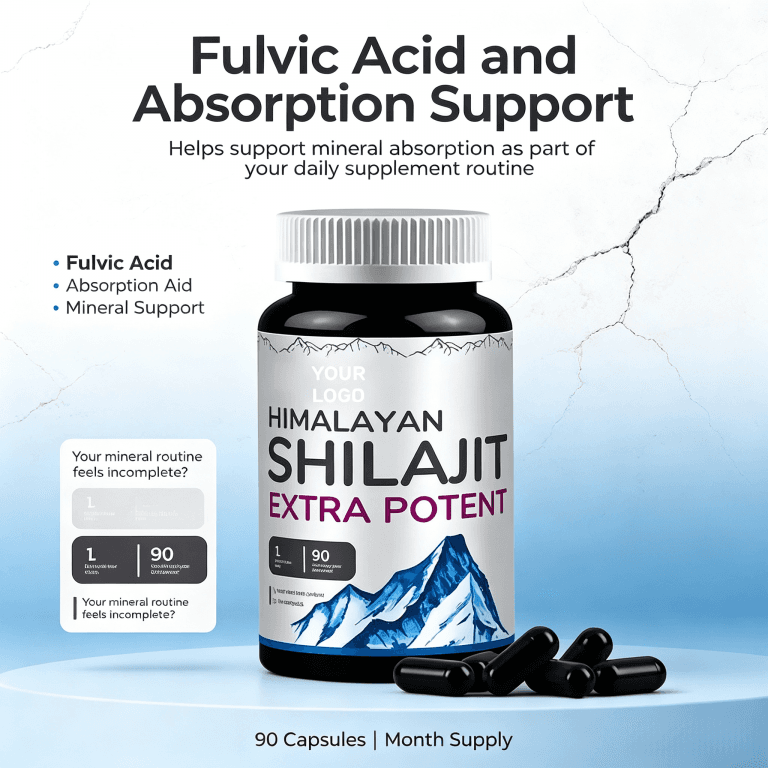 New Arrival Good Quality Himalayan Sundried Shilajit Capsules