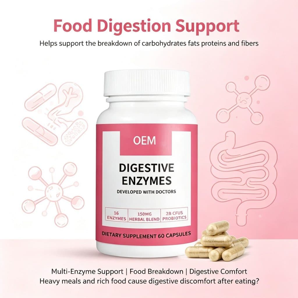 Customized Digestive Enzymes Capsules Probiotic Capsules for Digestive Health & Gut Balance Support Dietary Supplement